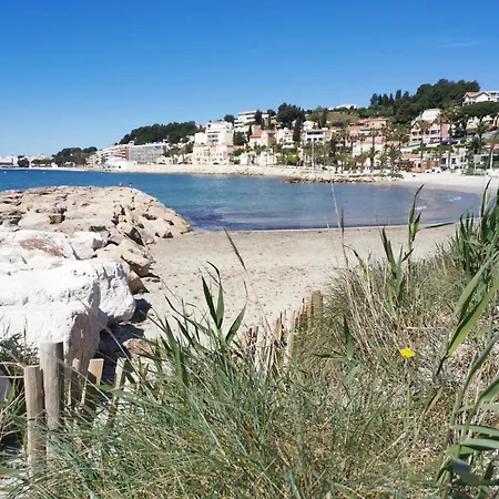 Ofdl B T1 - Briotine Foyalais * Bandol